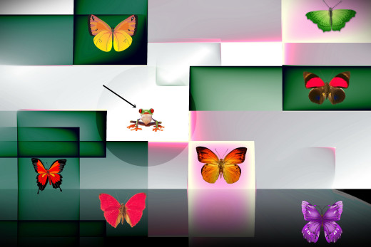 1317269 (a): :2560x1707